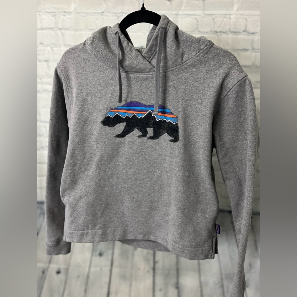 Patagonia Roy Bear Uprisal Hoodie | Sz XS - Picture 4 of 16